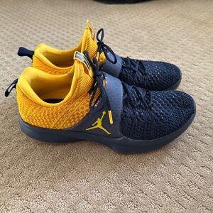 Jordan Trainer 2 Flyknit “Michigan”